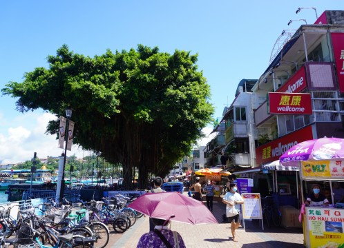 観光イメージ：長洲内