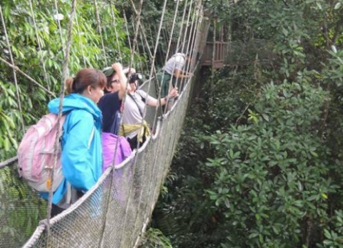 キャノピーウォーク