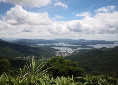 カオルーンピーク(飛鵝山) からの眺め サンプル