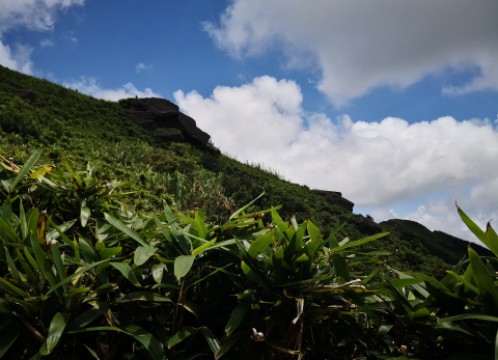 カオルーンピーク(飛鵝山) からの眺め サンプル