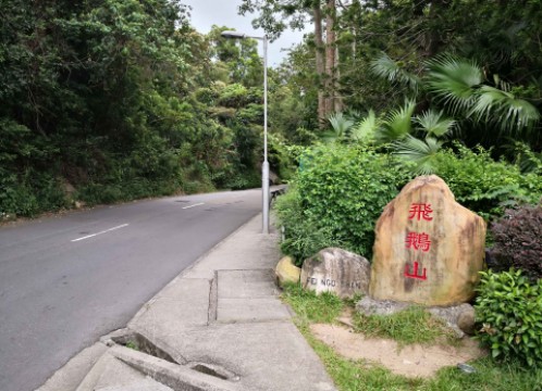カオルーンピーク(飛鵝山) への道中 サンプル