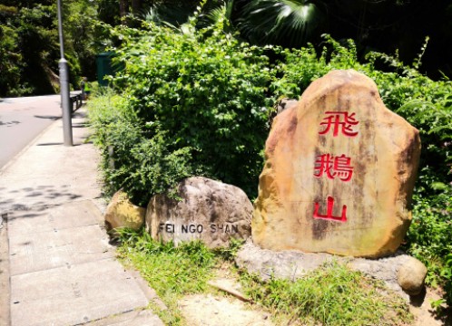 カオルーンピーク(飛鵝山) への道中 サンプル