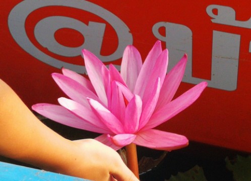 タレーブアデーン（赤い睡蓮の海）