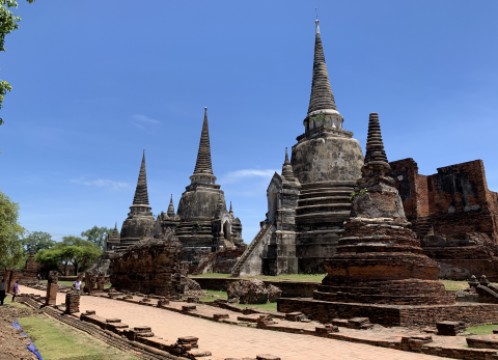 ワットプラシーサンペット