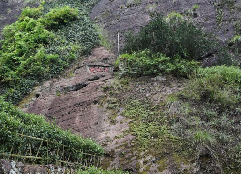武夷山 大紅袍 イメージ