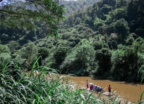 本格象乗り体験