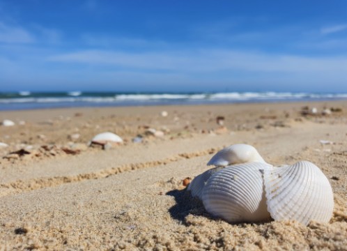 ブンタウ ビーチ