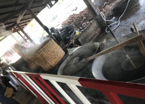 ココナッツファーム