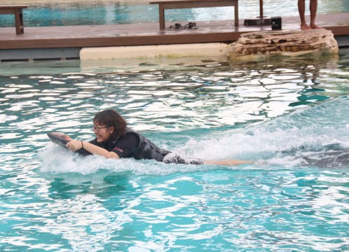 ドルフィンアイランド_アドベンチャー