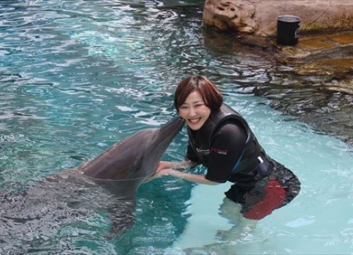 ドルフィンアイランド_アドベンチャー