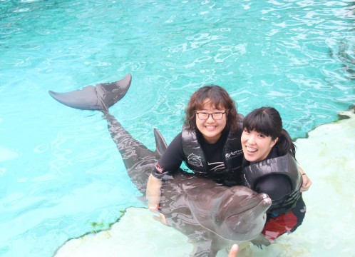 ドルフィンアイランド_アドベンチャー