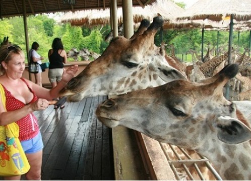 サファリワールド