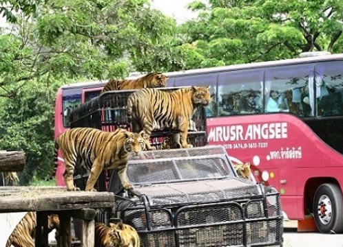 サファリワールド