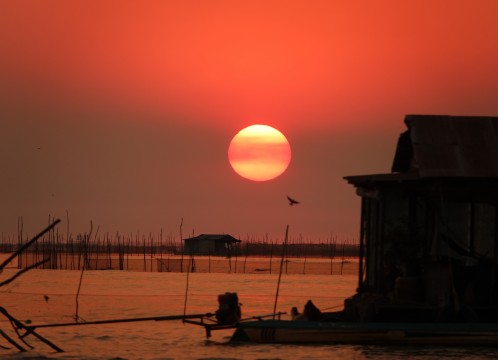 トンレサップ湖